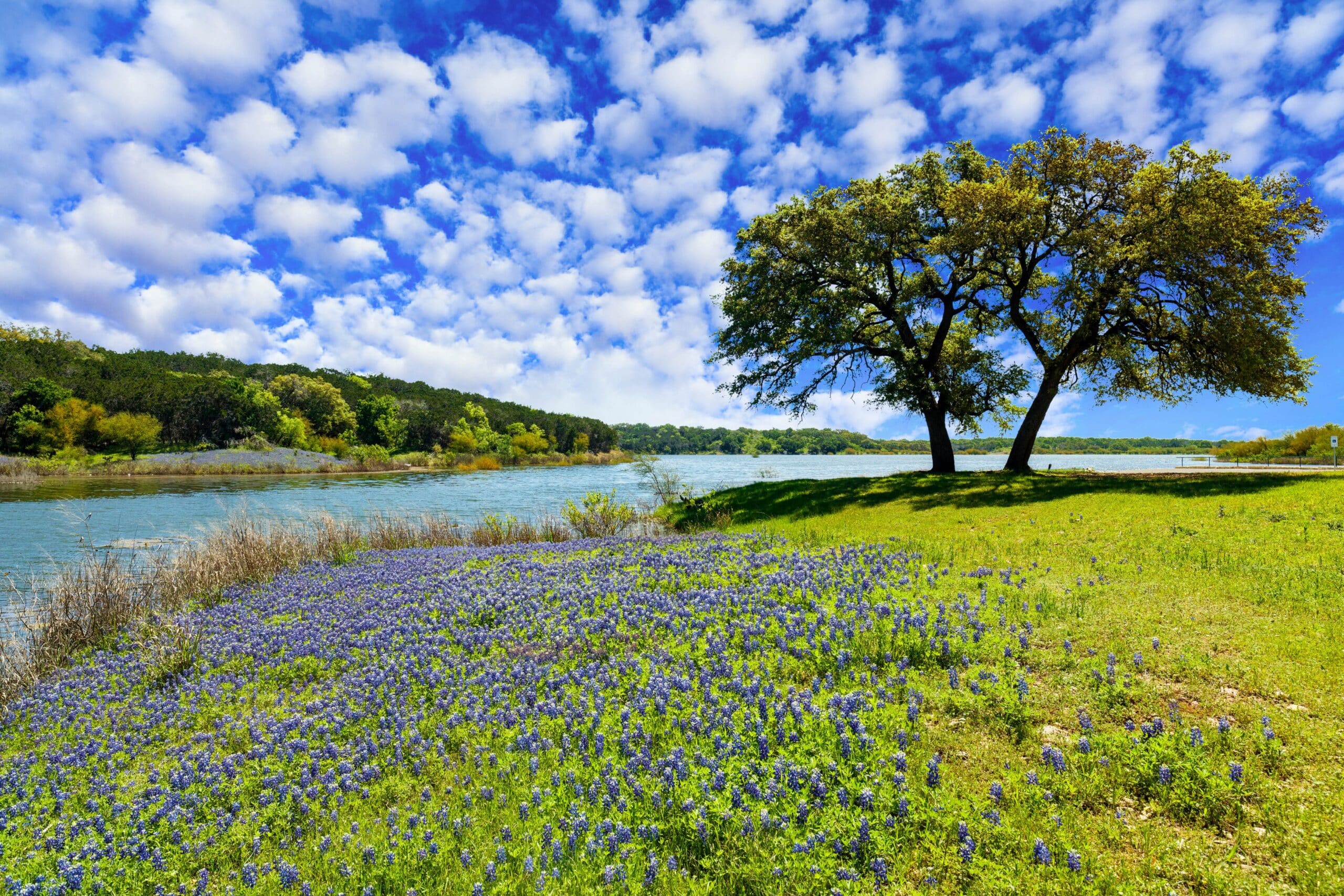 AdobeStock 227368903 resize