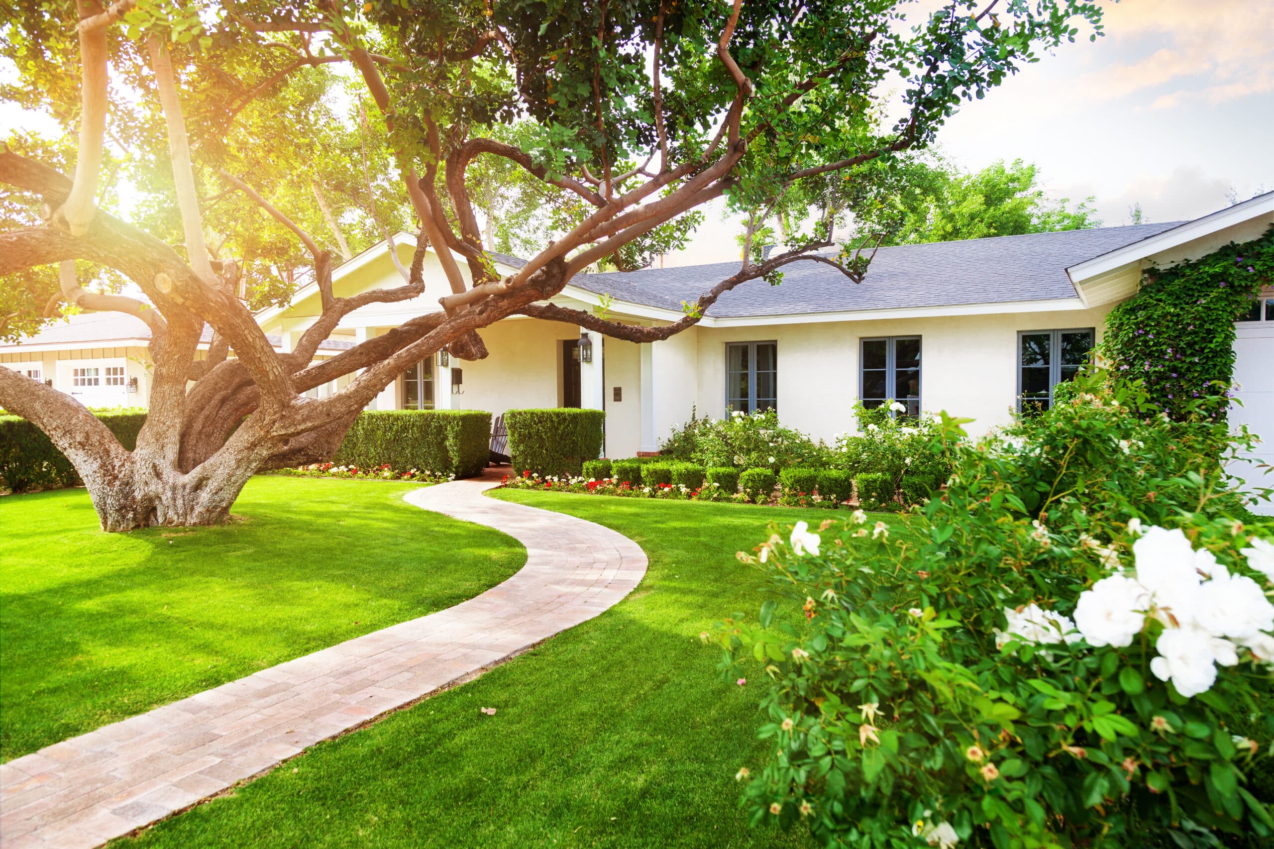 mortgage, understanding a mortgage, mortgage basics, guide to a mortgage, common mortgage questions