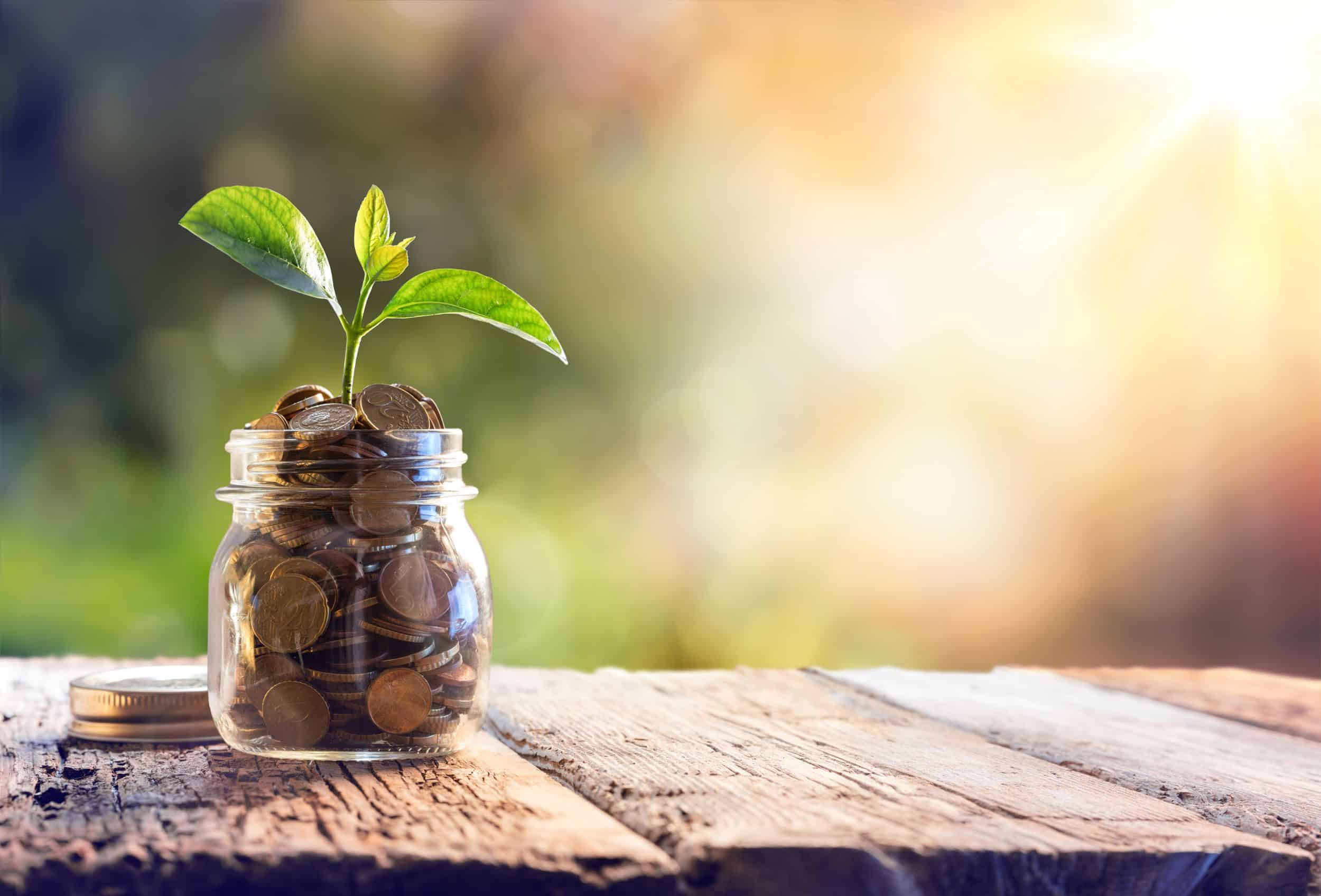 jar filled with coins with plant sprouting out, retirement savings, individual retirement accounts, common IRA mistakes, five common IRA mistakes, common individual retirement account mistakes