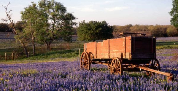 southstarbank hillcountry b